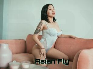 Asian_Fly