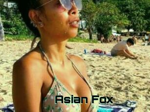 Asian_Fox