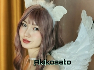 akikosato Sex Asiatique