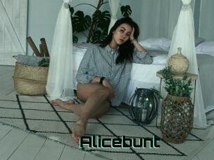 Alicebunt