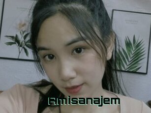 Amisanajem