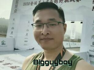 Bigguyboy