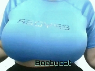 Boobycat