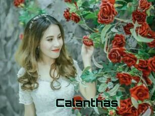 Calanthas
