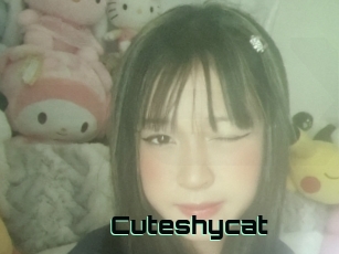 Cuteshycat