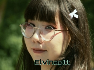 Elvinagitt