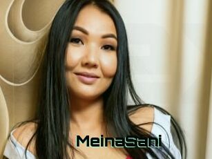MeinaSani