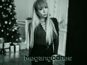 Megangodnes
