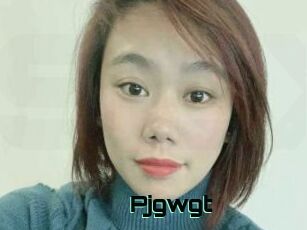 Pjgwgt