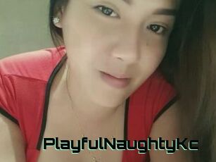 PlayfulNaughtyKc