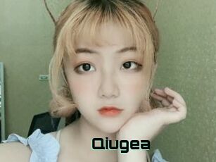 Qiugea