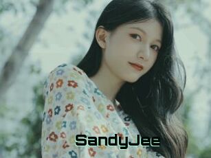 SandyJee