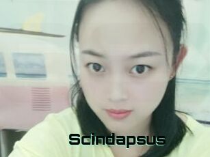 Scindapsus