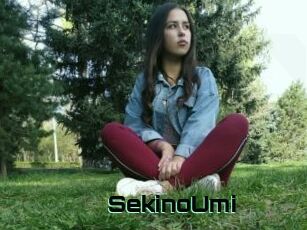 SekinoUmi