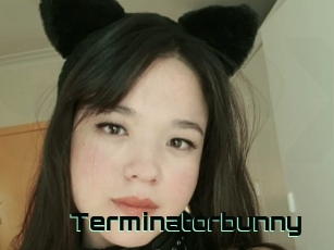 Terminatorbunny