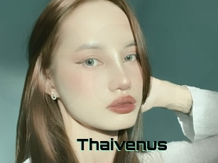 Thaivenus