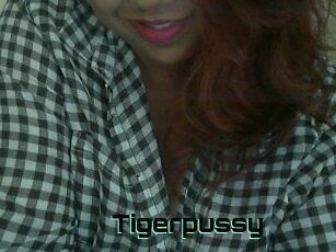 Tigerpussy
