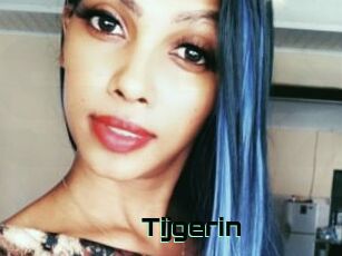 Tijgerin