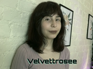 Velvettrosee