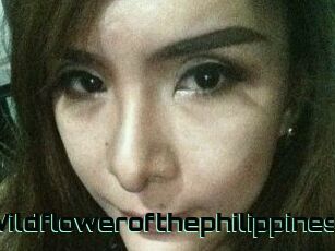 Wildflowerofthephilippines