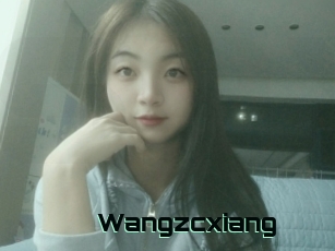 Wangzcxiang