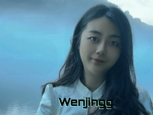Wenjingg