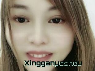 Xingganyeshou