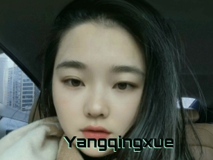 Yangqingxue
